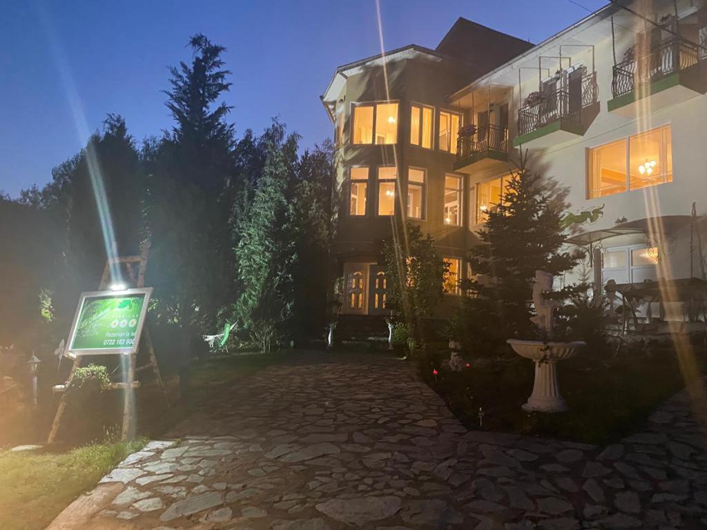 Pensiunea La Mesteceni -Zur Birke, Poiana Marului-Caras Severin Bagian luar foto
