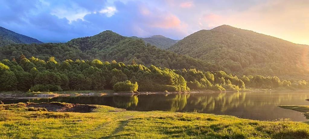 Pensiunea La Mesteceni -Zur Birke, Poiana Marului-Caras Severin Bagian luar foto
