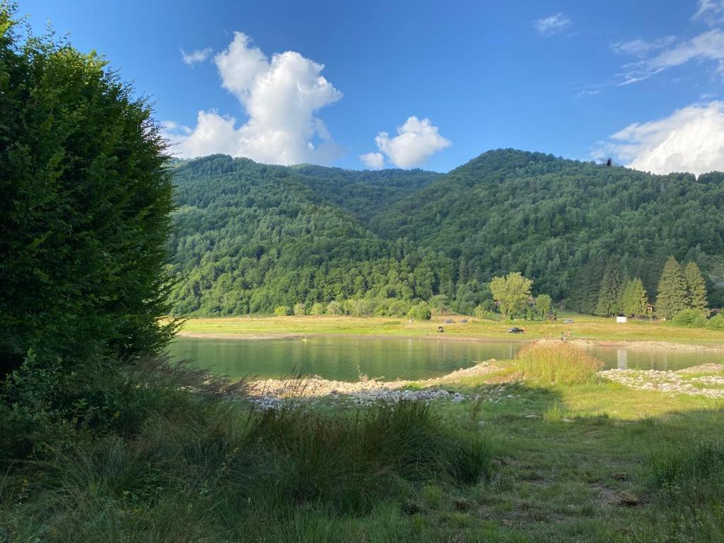 Pensiunea La Mesteceni -Zur Birke, Poiana Marului-Caras Severin Bagian luar foto