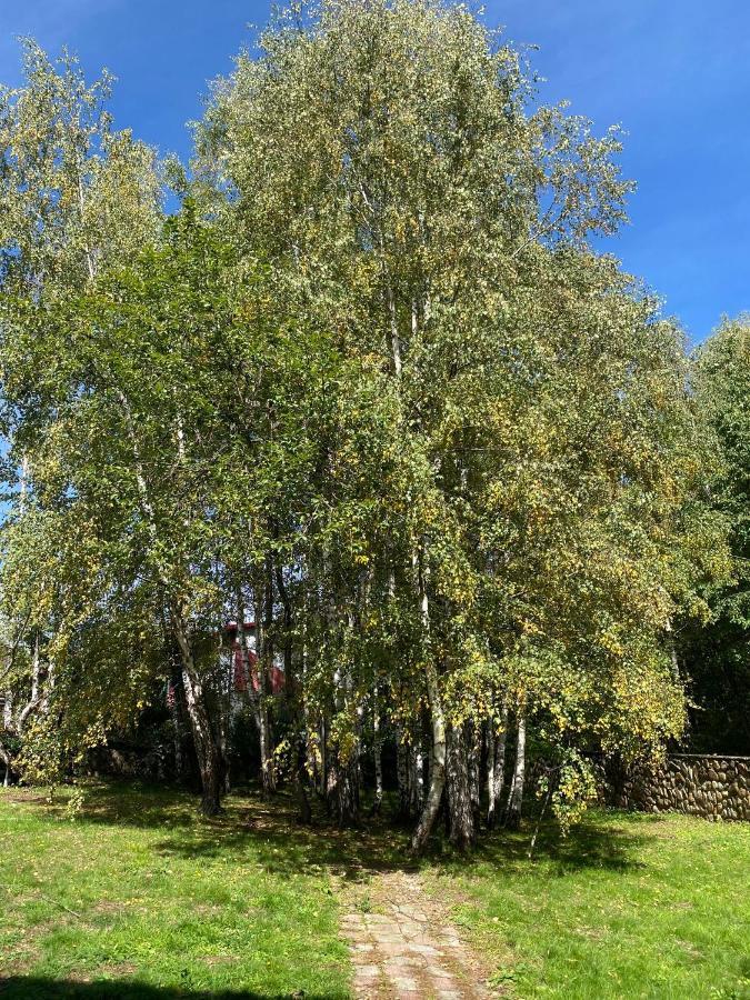Pensiunea La Mesteceni -Zur Birke, Poiana Marului-Caras Severin Bagian luar foto