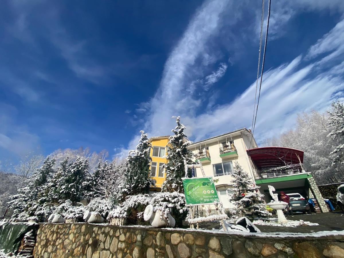 Pensiunea La Mesteceni -Zur Birke, Poiana Marului-Caras Severin Bagian luar foto