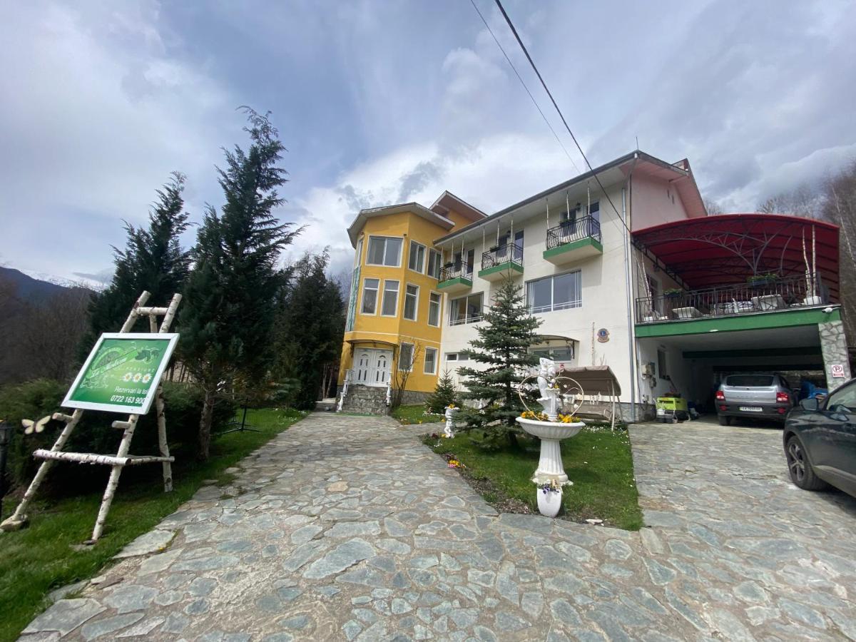 Pensiunea La Mesteceni -Zur Birke, Poiana Marului-Caras Severin Bagian luar foto