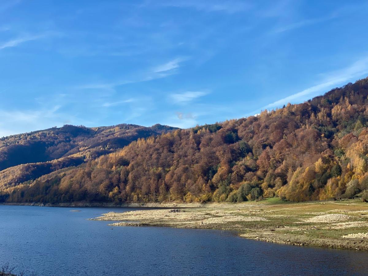 Pensiunea La Mesteceni -Zur Birke, Poiana Marului-Caras Severin Bagian luar foto
