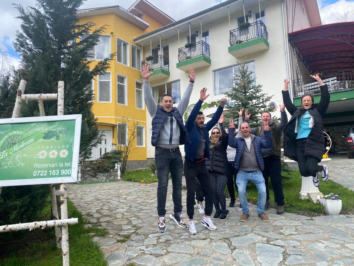 Pensiunea La Mesteceni -Zur Birke, Poiana Marului-Caras Severin Bagian luar foto
