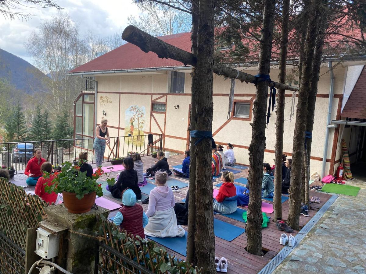 Pensiunea La Mesteceni -Zur Birke, Poiana Marului-Caras Severin Bagian luar foto