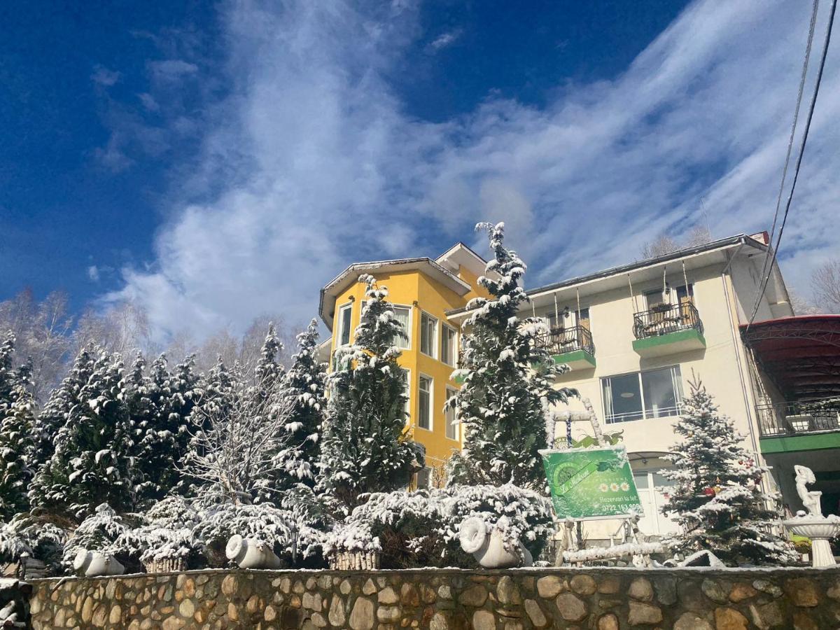 Pensiunea La Mesteceni -Zur Birke, Poiana Marului-Caras Severin Bagian luar foto