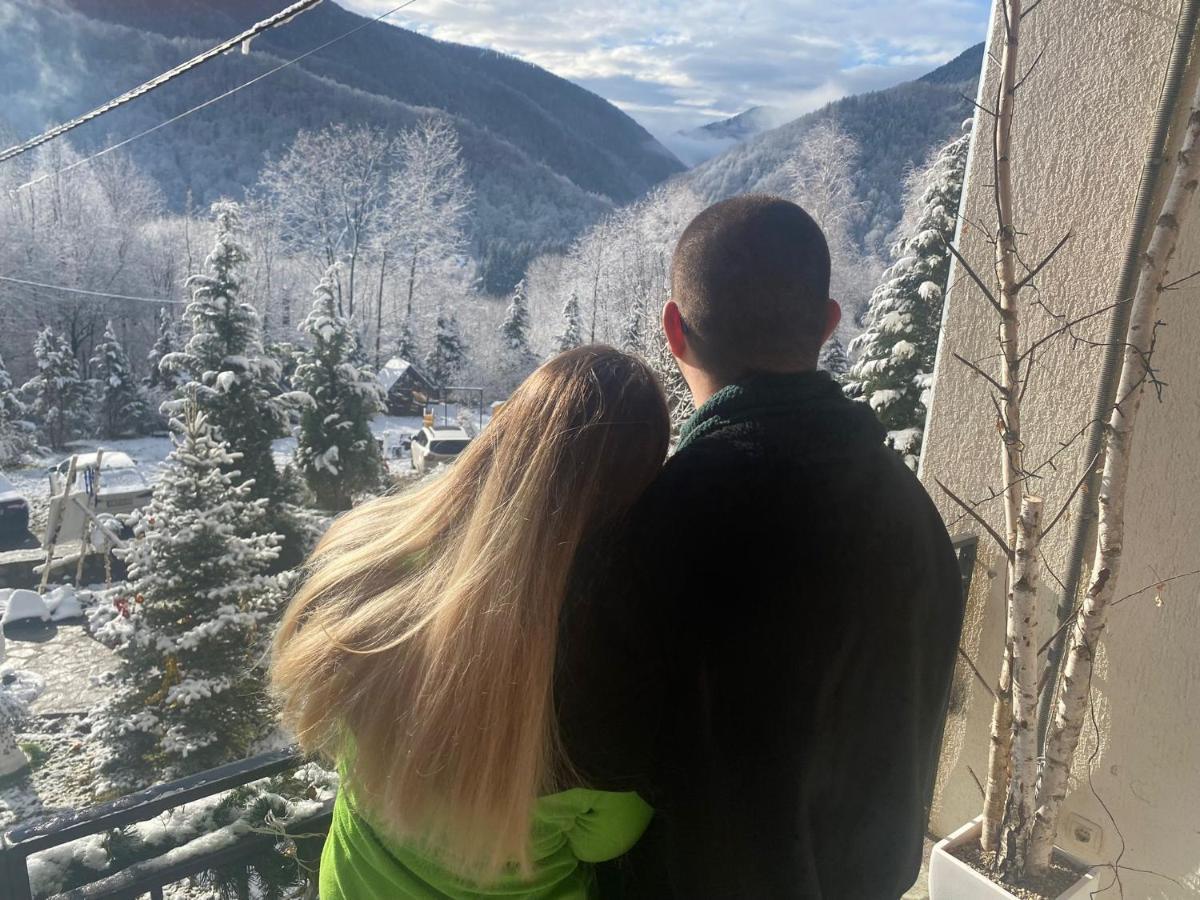 Pensiunea La Mesteceni -Zur Birke, Poiana Marului-Caras Severin Bagian luar foto