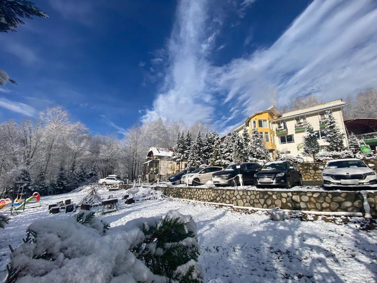 Pensiunea La Mesteceni -Zur Birke, Poiana Marului-Caras Severin Bagian luar foto