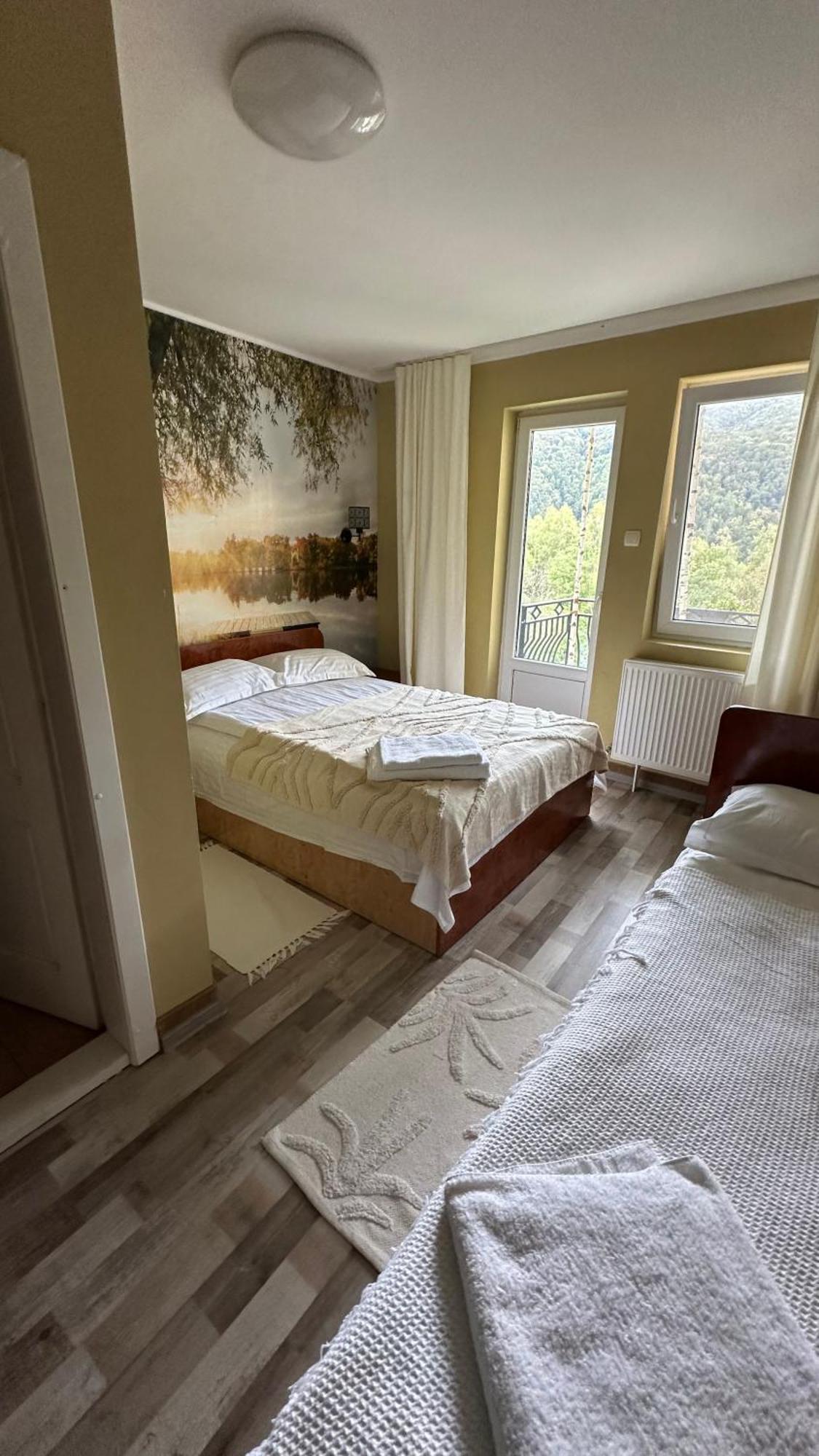 Pensiunea La Mesteceni -Zur Birke, Poiana Marului-Caras Severin Bagian luar foto