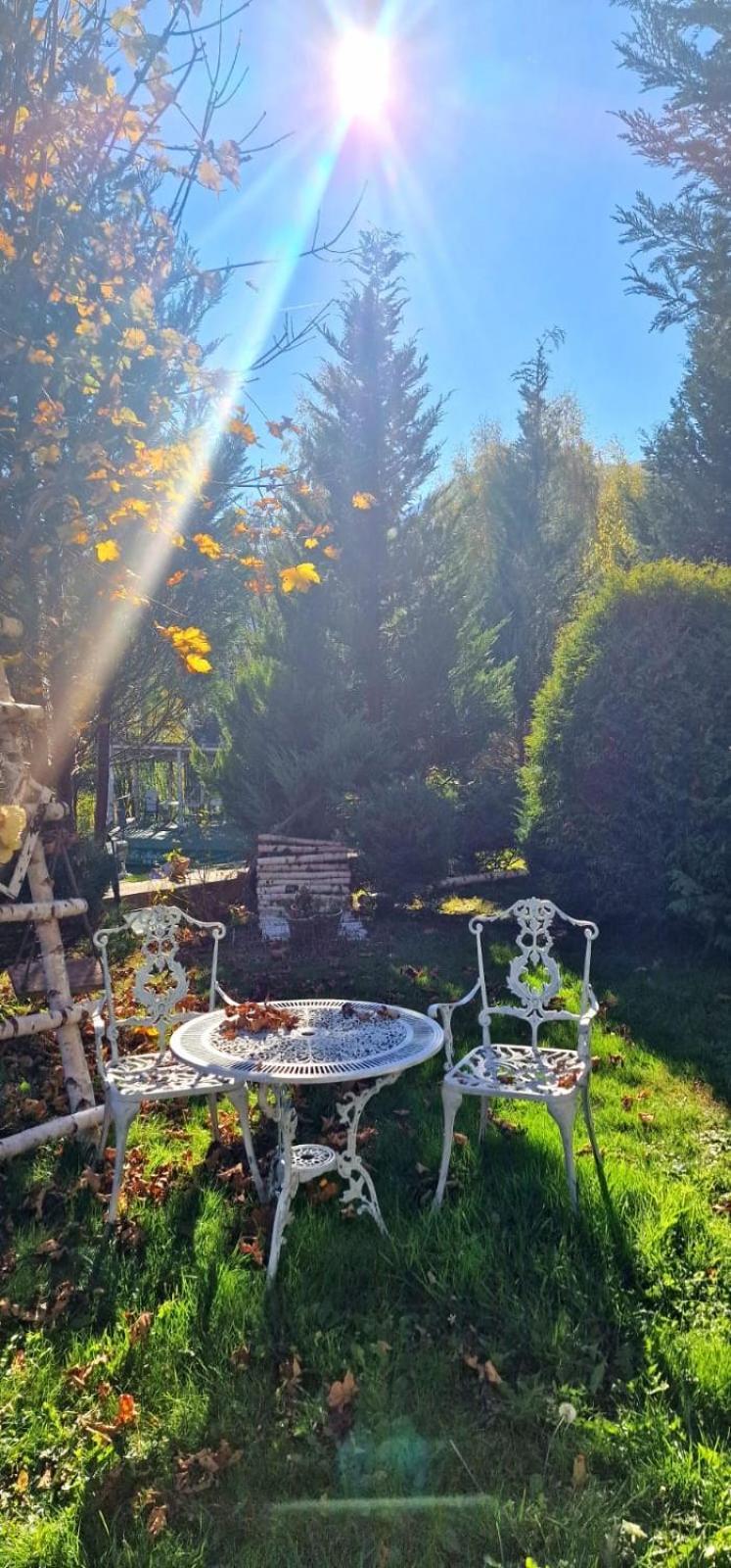 Pensiunea La Mesteceni -Zur Birke, Poiana Marului-Caras Severin Bagian luar foto