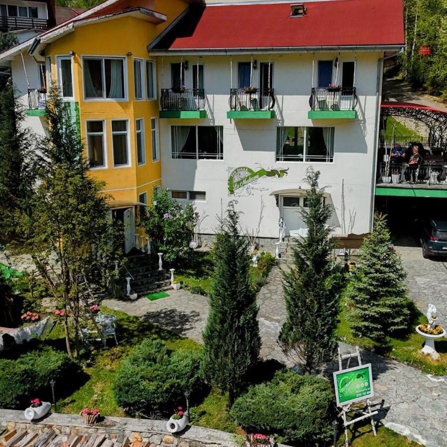 Pensiunea La Mesteceni -Zur Birke, Poiana Marului-Caras Severin Bagian luar foto