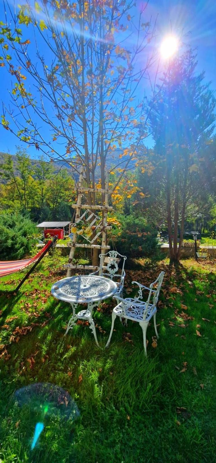 Pensiunea La Mesteceni -Zur Birke, Poiana Marului-Caras Severin Bagian luar foto