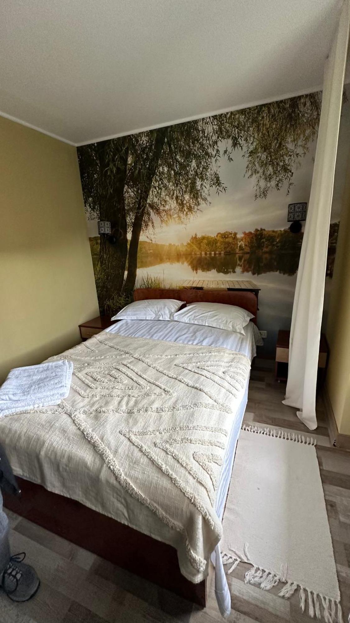 Pensiunea La Mesteceni -Zur Birke, Poiana Marului-Caras Severin Bagian luar foto